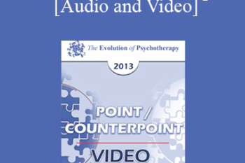 EP13 Point/Counter Point 09 - The Palette of the Therapist - Jeffrey Zeig