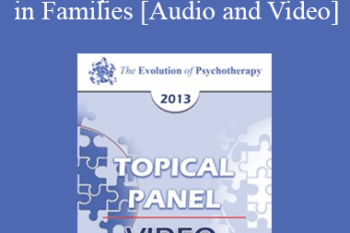 EP13 Topical Panel 14 - Abuse in Families - Claudia Black