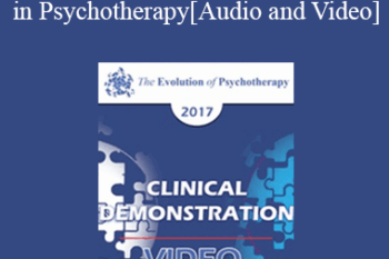 EP17 Clinical Demonstration with Discussant 01 - Using Stories to Create Change in Psychotherapy - Bill O'Hanlon