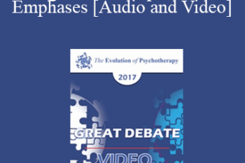 EP17 Great Debates 07 - Cognitive vs Experiential Emphases - Stephen Gilligan