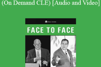 Trial Guides - FACE to Face: Mitnik & Panish (On Demand CLE)