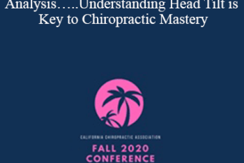 Francis X. Murphy - Top Down Analysis…..Understanding Head Tilt is Key to Chiropractic Mastery | Speaker: Francis Murphy DC