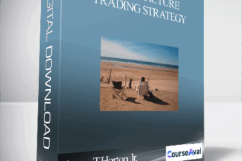 Avery T.Horton Jr. – The Big Picture Trading Strategy