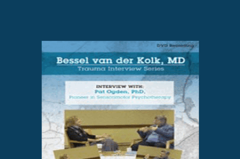 Bessel van der Kolk