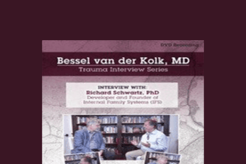Bessel van der Kolk