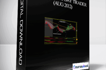 Boomerang Day Trader (Aug 2012)