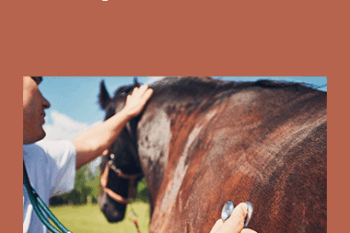 CPD - Equine Mini Bundle