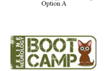 CPD - Feline Neurology Boot Camp – Option A