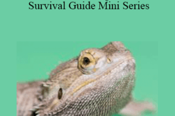CPD - MS054 – Reptile Survival Guide Mini Series