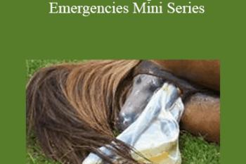 CPD - MS060 – Equine Emergencies Mini Series