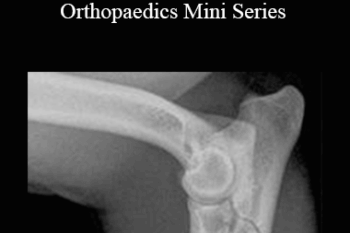 CPD - MS074 – Introduction to Orthopaedics Mini Series