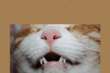 CPD - MS079 – Feline Dentistry Mini-Series
