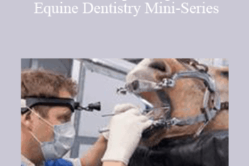 CPD - MS080 – Improving Your Equine Dentistry Mini-Series