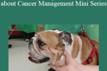 CPD - MS086 – Everything You Need to Know about Cancer Management Mini Series
