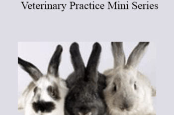 CPD - MS105 – A to Z of Rabbits in Veterinary Practice Mini Series