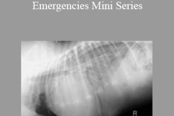 CPD - MS112 – Cardiovascular Emergencies Mini Series