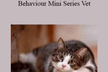 CPD - MS115 – Feline Behaviour Mini Series Vet