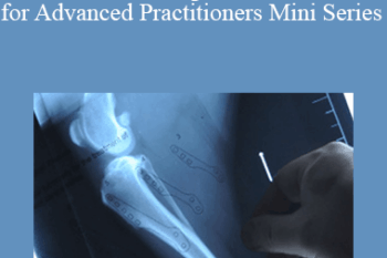CPD - MS119 – Cranial Cruciate Ligament Masterclass for Advanced Practitioners Mini Series