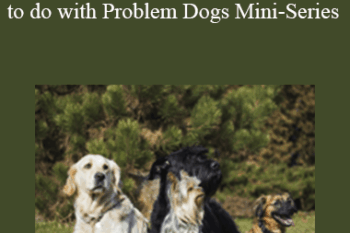 CPD - MS139 – Canine Behaviour – What to do with Problem Dogs Mini-Series