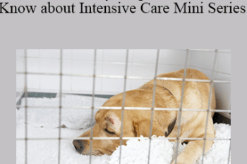 CPD - MS151 – Everything You Need to Know about Intensive Care Mini Series