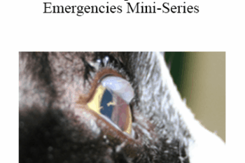 CPD - MS155 – Ophthalmic Emergencies Mini-Series