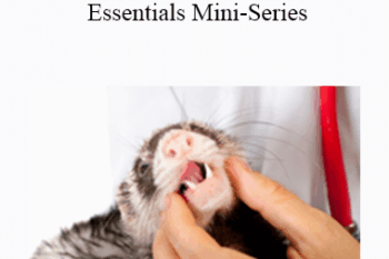 CPD - MS160 – Small Mammal Essentials Mini-Series