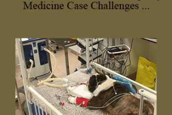 CPD - MS162 – Small Animal Emergency Medicine Case Challenges for Advanced Practitioners Mini Series