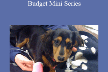 CPD - MS166 Medicine on a Budget Mini Series
