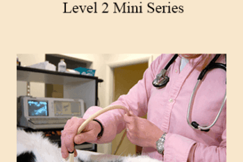 CPD - MS170 Abdominal Ultrasound Level 2 Mini Series