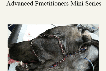 CPD - MS176 Maxillofacial Surgery for Advanced Practitioners Mini Series
