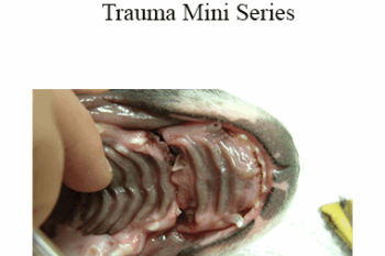 CPD - MS182 Orofacial Trauma Mini Series