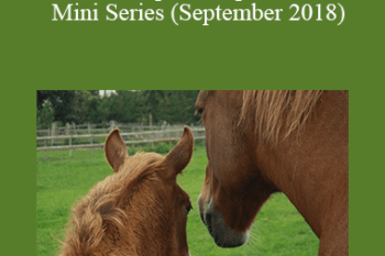 CPD - MS186 Equine Reproduction Mini Series (September 2018)