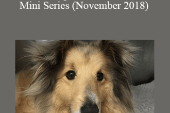 CPD - MS190 Hot Topics in Canine Medicine Mini Series (November 2018)