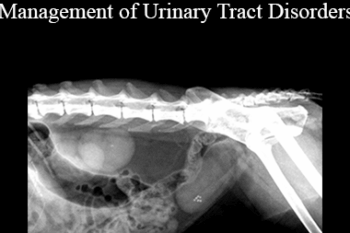 CPD - MS198 – Nutrition – A Corner Stone for Management of Urinary Tract Disorders