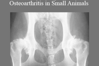CPD - MS199- Management of Osteoarthritis in Small Animals