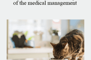 CPD - MS213 – When Nutrition is part of the medical management