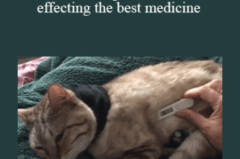 CPD - MS220- Complex Cat Cases – effecting the best medicine