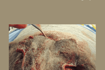 CPD - MS225 – GP Refresh- Surgery