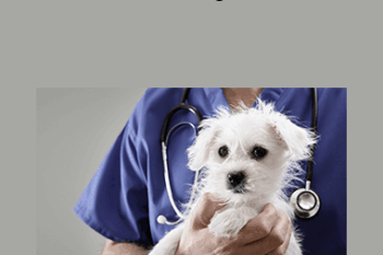 CPD - Medicine 1 Mega Bundle