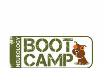 CPD - Neurology Boot Camp Option A