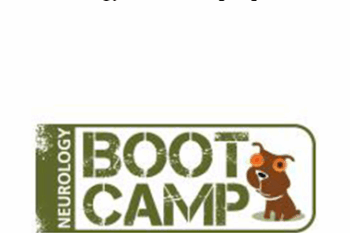 CPD - Neurology Boot Camp Option B