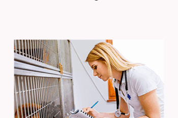 CPD - Nurses 2 Mega Bundle