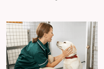 CPD - Nurses 3 Mega Bundle