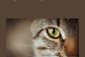 CPD - Ophthalmology Mini Bundle