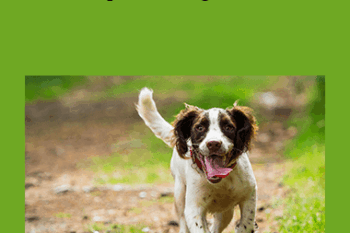 CPD - Orthopaedic Mega Bundle