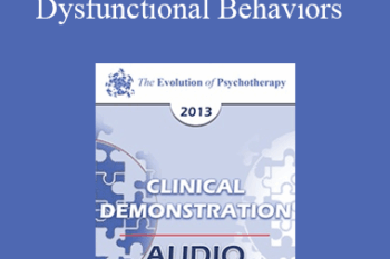 EP13 Clinical Demonstration 05 - Chain Analysis of Dysfunctional Behaviors - Marsha Linehan