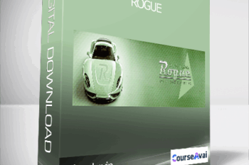 Claus Levin - ROGUE