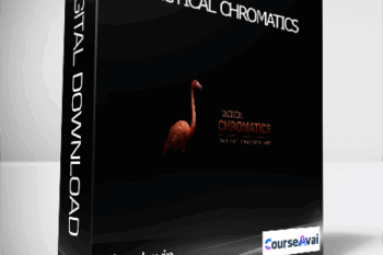 Claus Levin - TACTICAL CHROMATICS