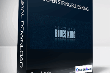 Claus Levin - THE OPEN STRING BLUES KING