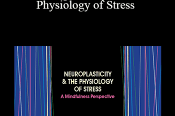 Clyde Boiston - Neuroplasticity & the Physiology of Stress: A Mindfulness Perspective